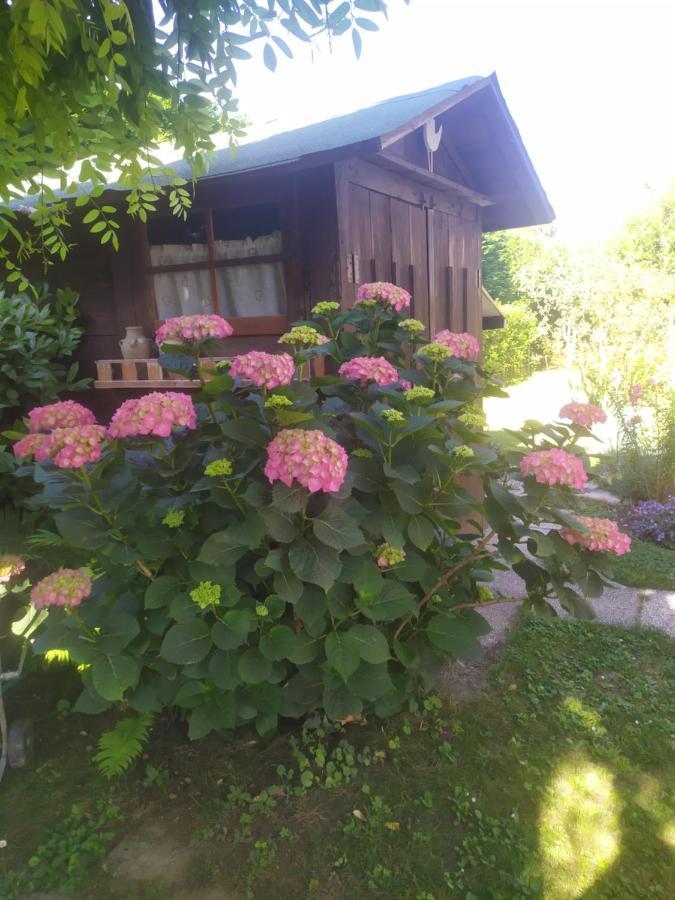 Al Casale B&B Casalserugo ภายนอก รูปภาพ