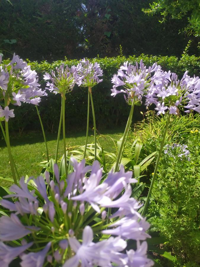 Al Casale B&B Casalserugo ภายนอก รูปภาพ