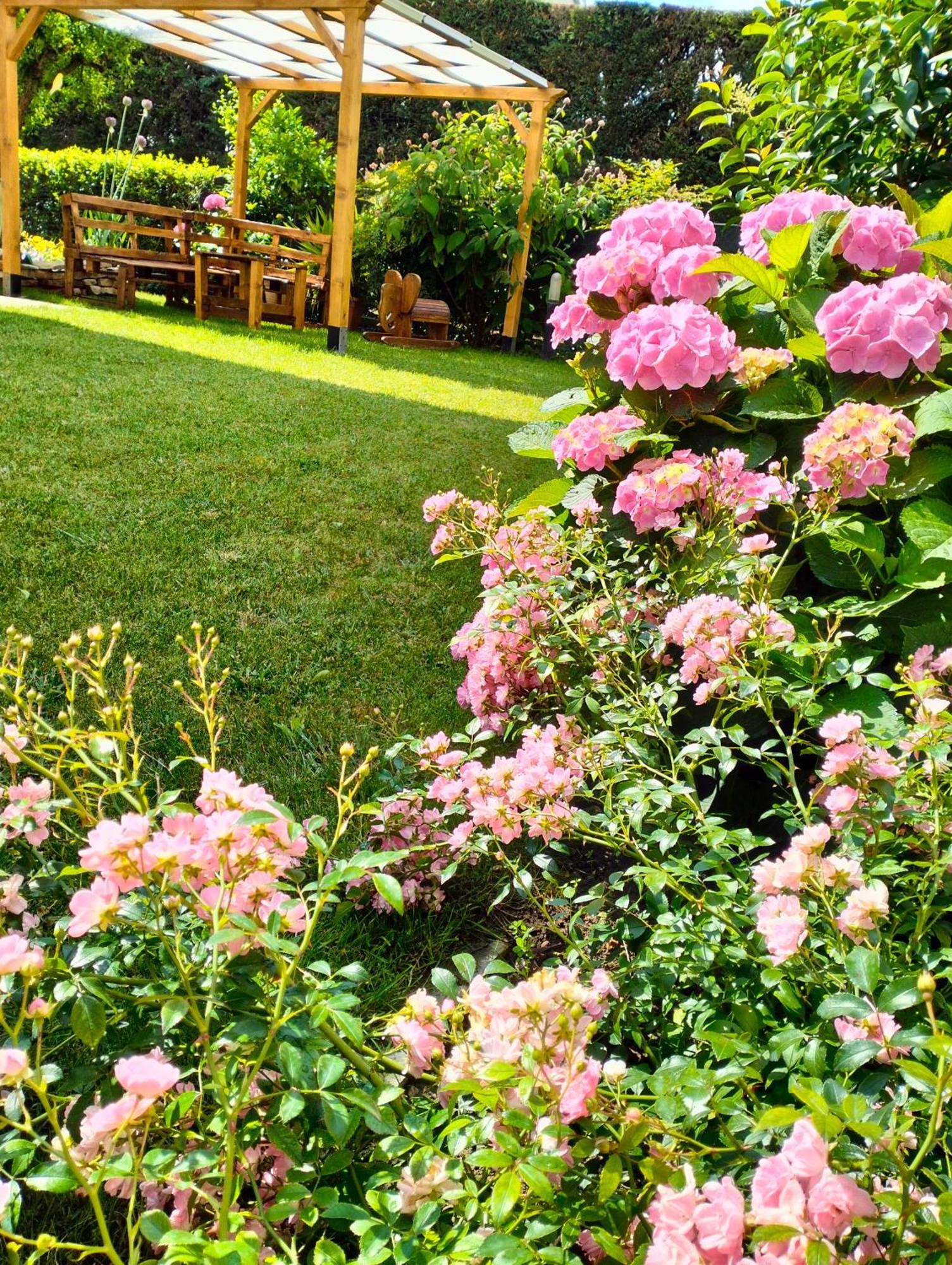 Al Casale B&B Casalserugo ภายนอก รูปภาพ
